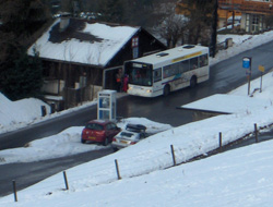 skibus